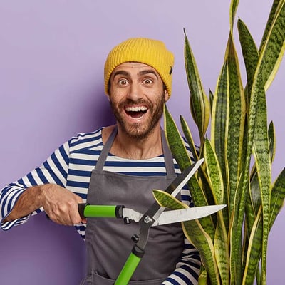 paysagiste-services-a-la-personne